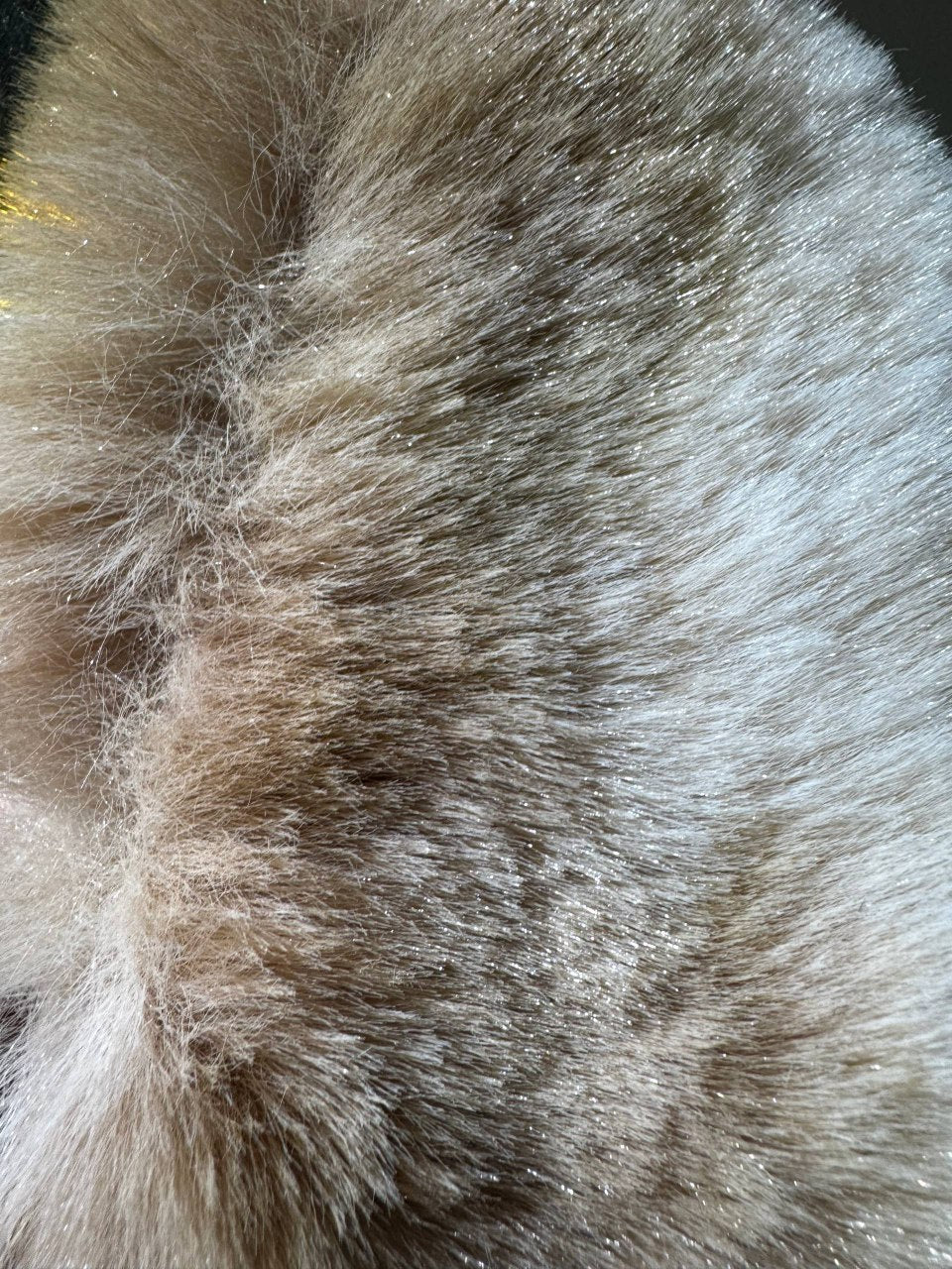 Детский двойка куйлакли K2203 Бўйнидаги момиғи